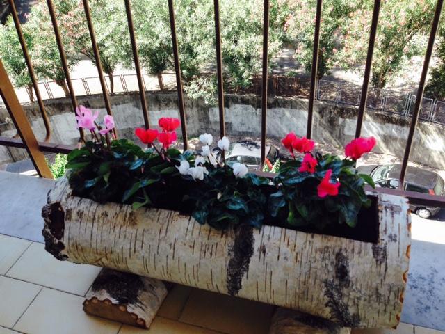 ساليرنو Chiavi Antiche B&B الغرفة الصورة