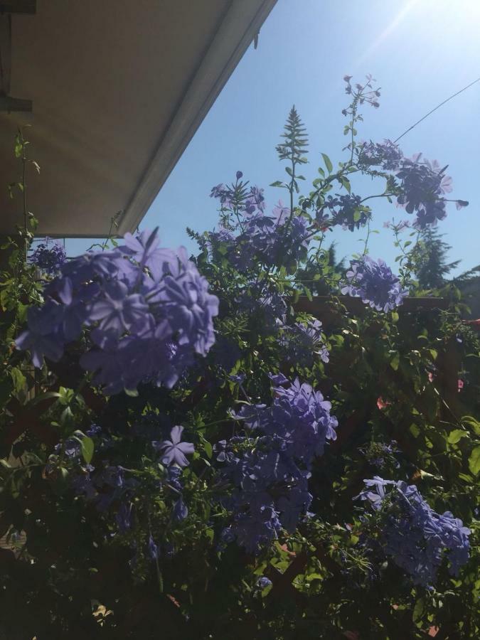 ساليرنو Chiavi Antiche B&B المظهر الخارجي الصورة